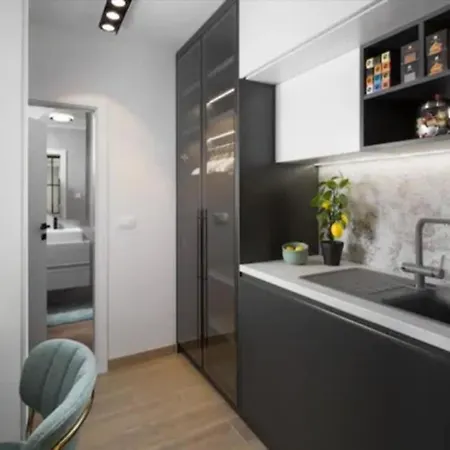 Novigrad Ema 2 Apartment