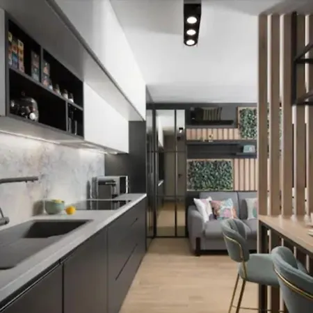 Apartment Novigrad Ema 2 *